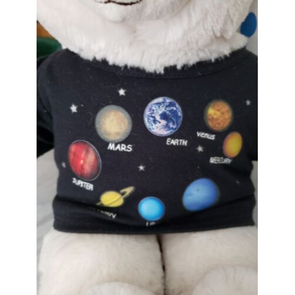Build a Bear plush With solar System Clothing - Picture 4 of 5